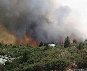 fotia-Arizona