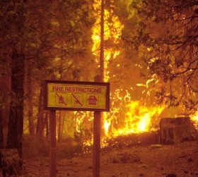 california24_8