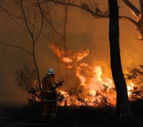 australia-fires
