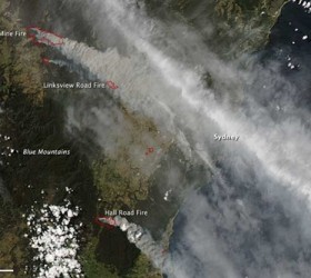 australia-pyrkages