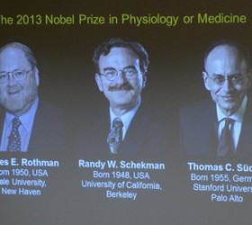 nobelprize-medicine