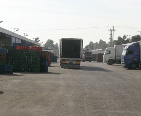 rentis
