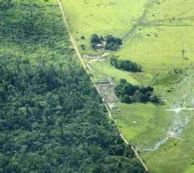 amazonios-apopsilosi-brazilia