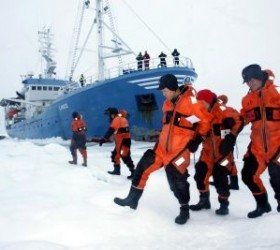 arctic