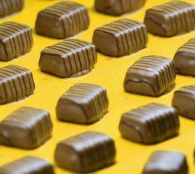 chocolate