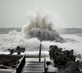 storm-dania-kimata