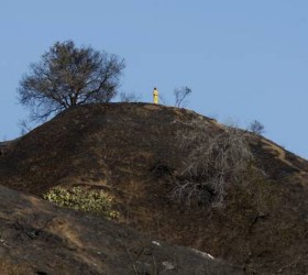 california