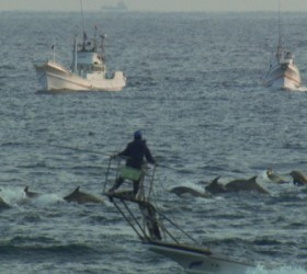 Drive Fisheries Japan