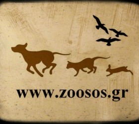 zoosos