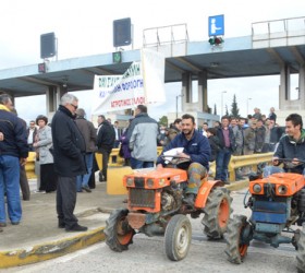agrotes-diodia