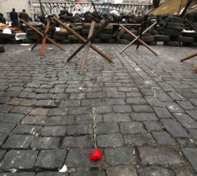 kiev-rose