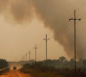 Indonesia-fires