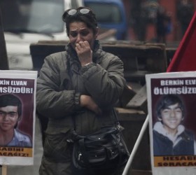 berkinelvan2