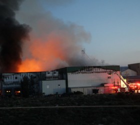rethimno-creta-farms-fotia