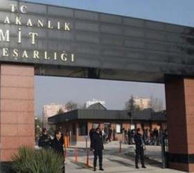 mit turkey