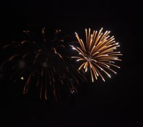 vegallika