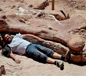 dinosaur patagonia