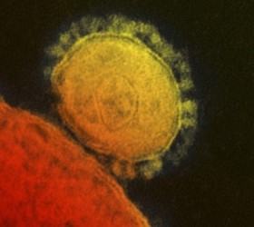 mers