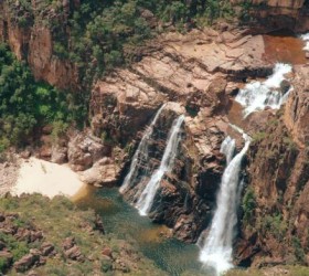 kakadu