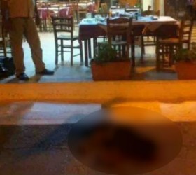 Το σκυλάκι που έχασε τη ζωή του από τα χέρια του επιχειρηματία