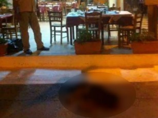 Το σκυλάκι που έχασε τη ζωή του από τα χέρια του επιχειρηματία