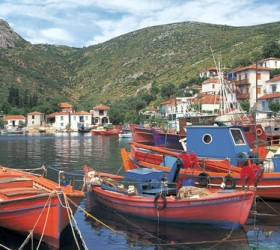 trikeri