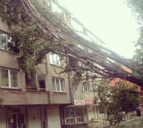 voulgaria