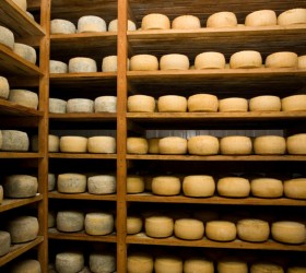 cheese