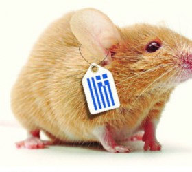 pontiki