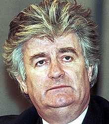 Evstafiev-Radovan_Karadzic