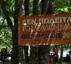 greenwave-festival2