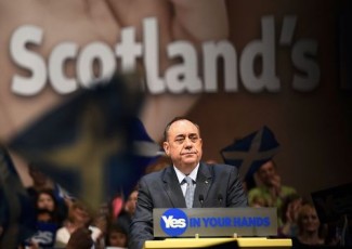 salmond