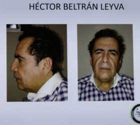 beltran-levia