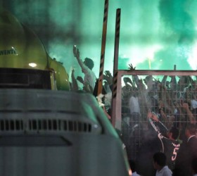 palmeiras