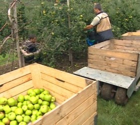 romanian-workers