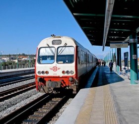 trainose2