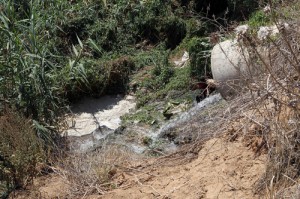 Asopos-potamos