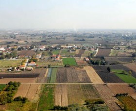 agrotemaxia