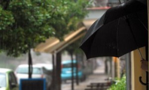 umbrella1509