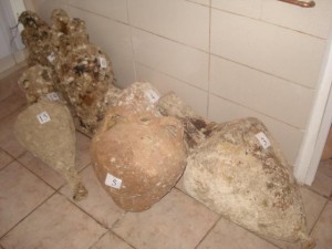 amforeis-Limnos-psarema
