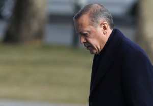 erdogan-dikastes