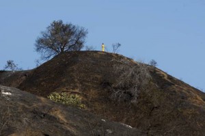 california