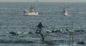 Drive Fisheries Japan