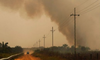 Indonesia-fires