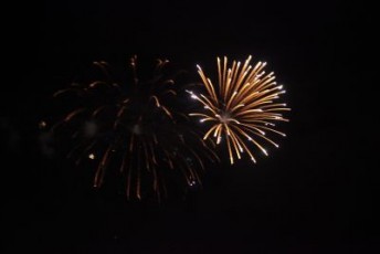 vegallika