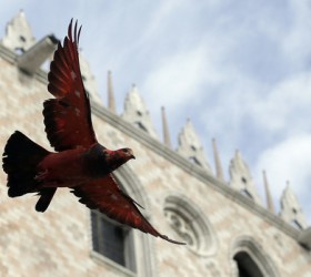 Venise-Venetia