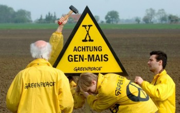 Ακτιβιστές της Greenpeace τοποθετούν ένδειξη για μεταλλαγμένα αγροτικά προϊόντα σε χωράφι