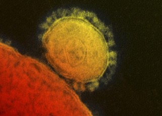 mers