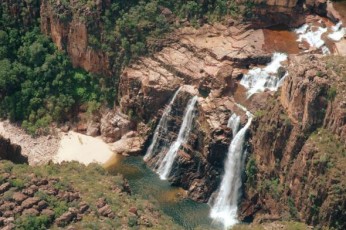 kakadu