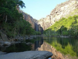 parko-kakadu-australia